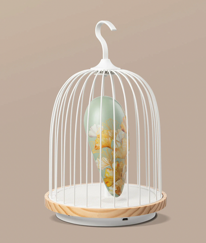 Jingoo birdcage speaker light 2025