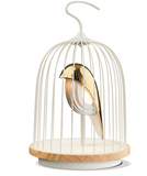 JinGoo Bluetooth Speaker + Light Phoenix (black or white)