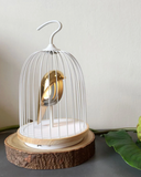 JinGoo Bluetooth Speaker + Light Phoenix (black or white)