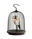 JinGoo Bluetooth Speaker + Light Phoenix (black or white)