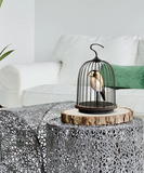 JinGoo Bluetooth Speaker + Light Phoenix (black or white)
