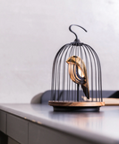 JinGoo Bluetooth Speaker + Light Phoenix (black or white)