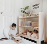 studio ducduc indi bookcase