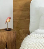 Lamp Bird