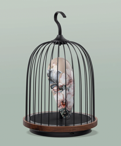 Jingoo birdcage speaker deals light